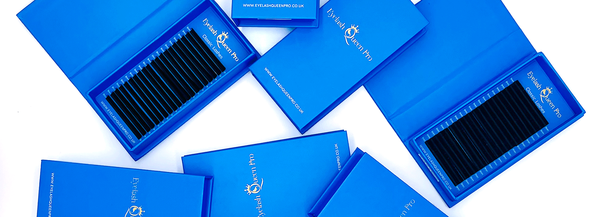 new_lash_trays